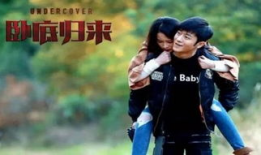 好看电视剧,探寻那些让人回味无穷的电视剧佳作