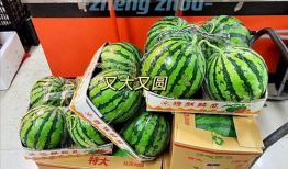 郑州吃瓜爆料视频大全最新,一网打尽城市热点事件